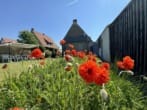 Gartenansicht - Gepflegtes, charmantes Zweifamilienhaus mit Teilkeller, Garage, Garten im Grünen in bevorzugter Lage